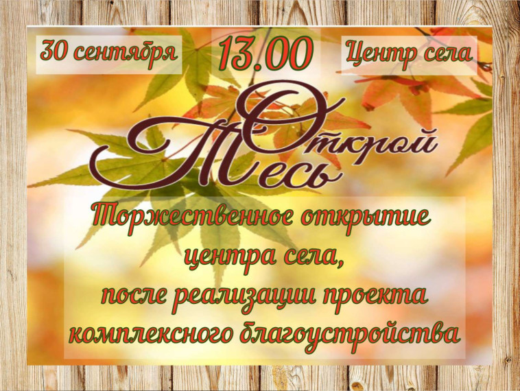 Проект комплексного благоустройства территории центра с. Тесь подошел к финишной черте. Проект комплексного благоустройства территории центра с. Тесь подошел к финишной черте.